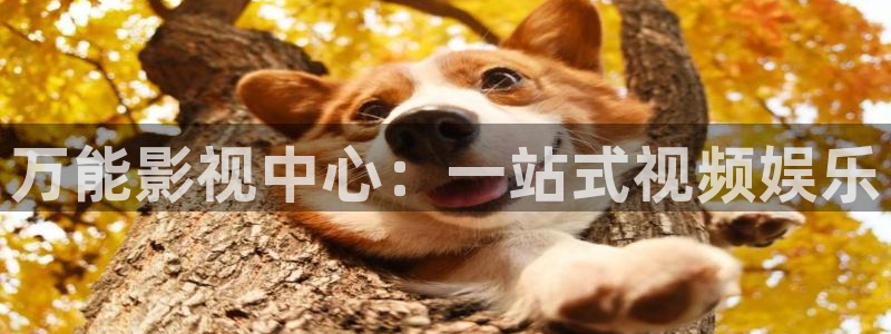 悟空悟空在线观看：万能影视中心：一站式视频娱乐