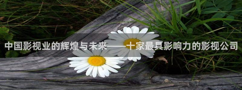 孙悟空变成美女视频：中国影视业的辉煌与未来——十家最具影响力的影视公司