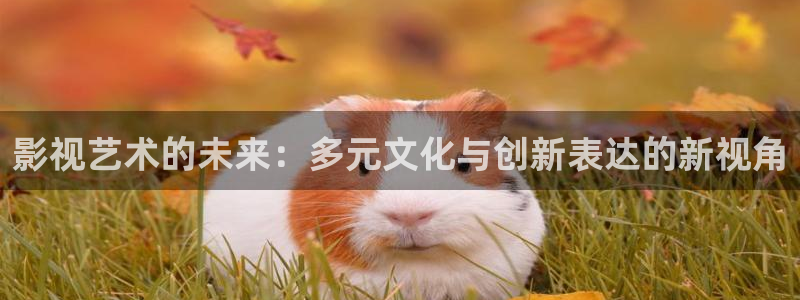 孙悟空视频动画片：影视艺术的未来：多元文化与创新表达的新视角