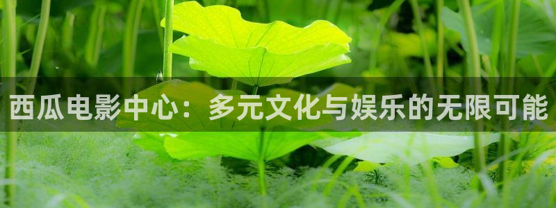 糖画孙悟空的视频：西瓜电影中心：多元文化与娱乐的无限可能