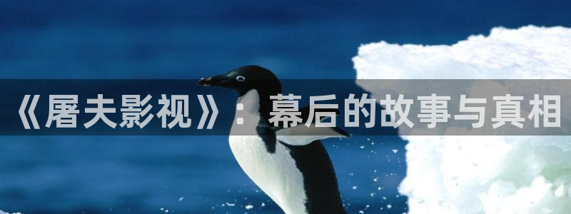 悟空悟空在线观看：《屠夫影视》：幕后的故事与真相