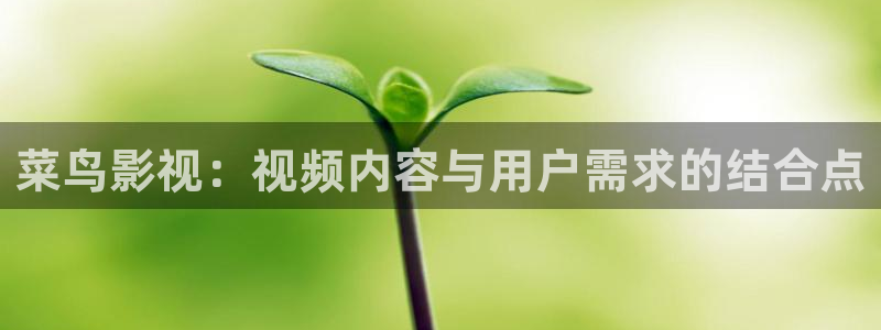悟空影院大全免费版：菜鸟影视：视频内容与用户需求的结合点