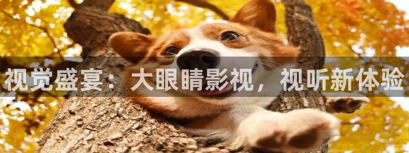 悟空视频影视：视觉盛宴：大眼睛影视，视听新体验