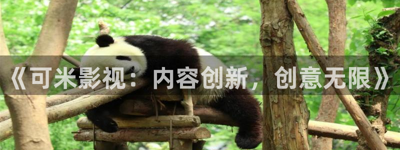 悟空 视频：《可米影视：内容创新，创意无限》